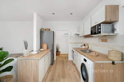 Kuchyně; kuchyňské spotřebiče, po rekonstrukci, přirozené světlo, moderní styl