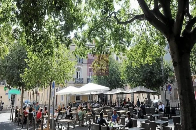 Casa y alrededores; vista