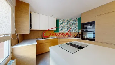 Kuchyně; kuchyňské spotřebiče, po rekonstrukci, přirozené světlo, moderní styl