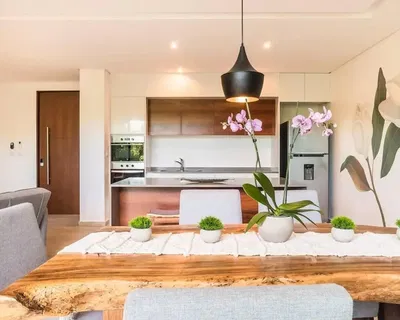 Cuisine; électroménager, lumière naturelle, style moderne