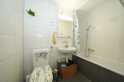 مرحاض; أرضية من البلاط, ضوء طبيعي, مجدد