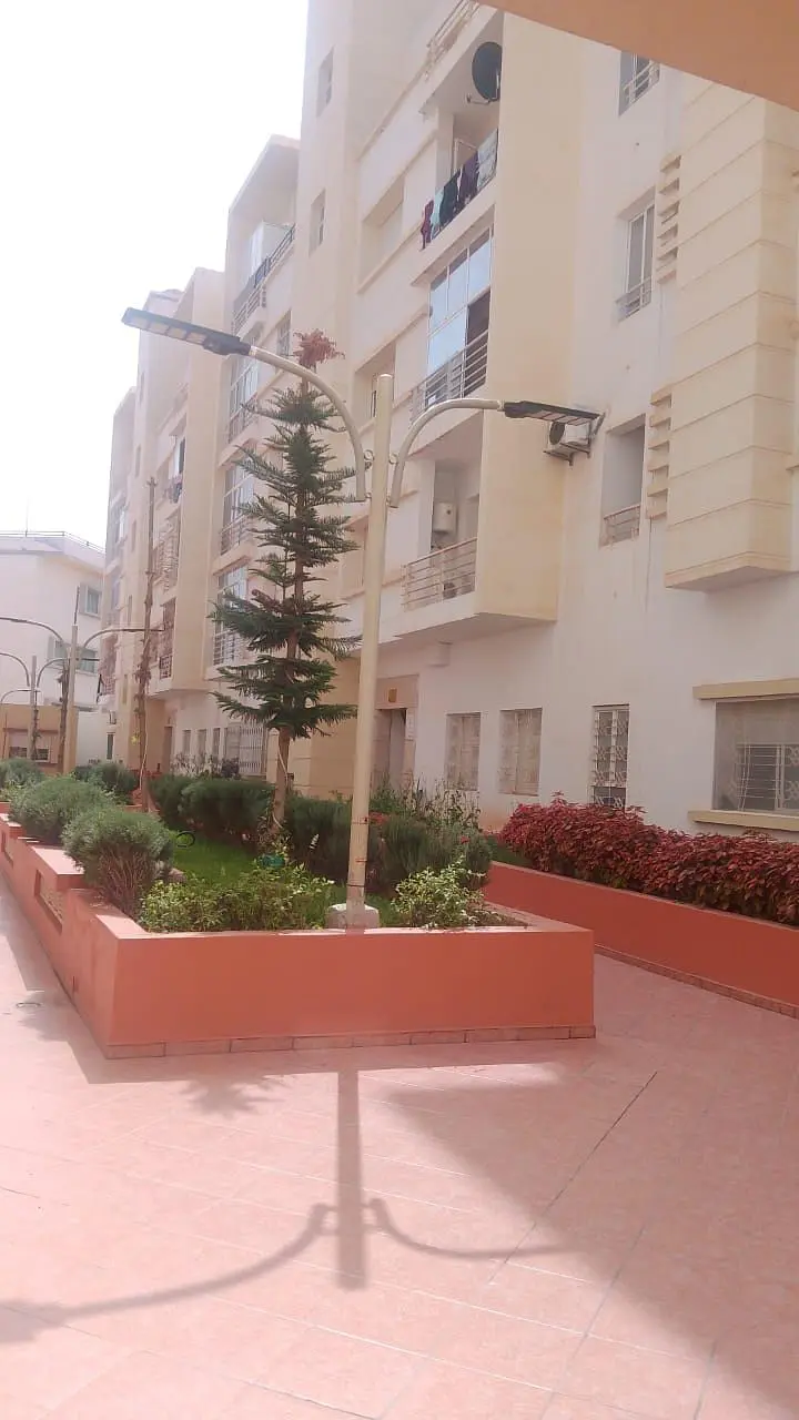 Maison et environs; vue, lumière naturelle