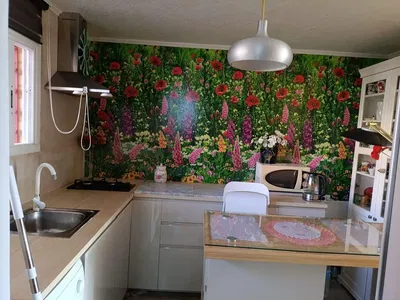 Küche; küchengeräte, tageslicht