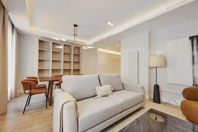 Salon; lumière naturelle, style moderne, rénové