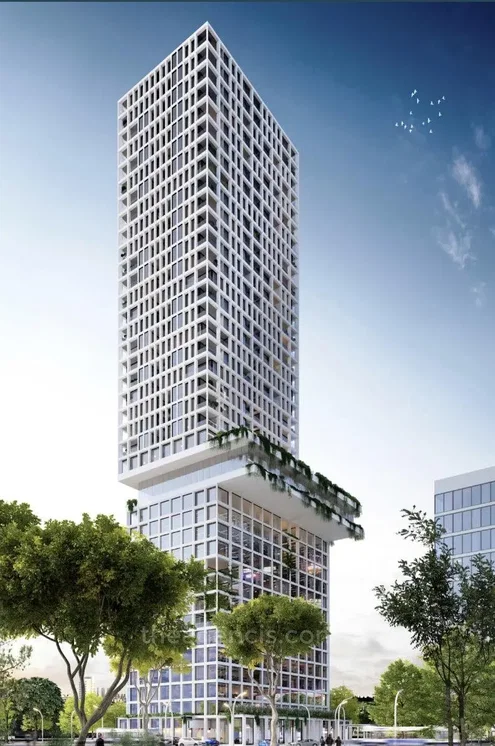 Casa y alrededores; vista, techos altos, vigas de madera, estilo moderno
