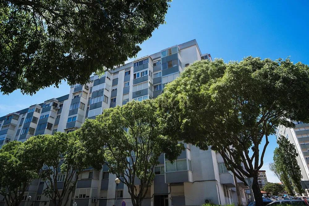 Casa e dintorni; vista