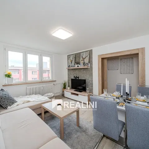Living room; natural light, modern style