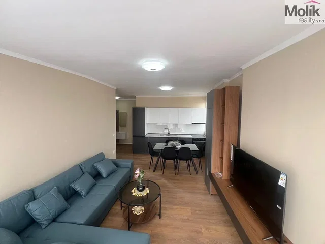 Obývací pokoj; moderní styl, dřevěná podlaha, přirozené světlo