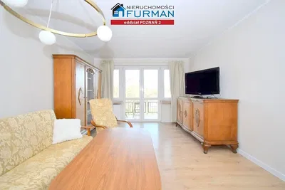 Living room; view, wood floor, natural light, modern style