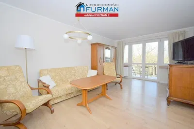 Living room; view, wood floor, natural light, modern style