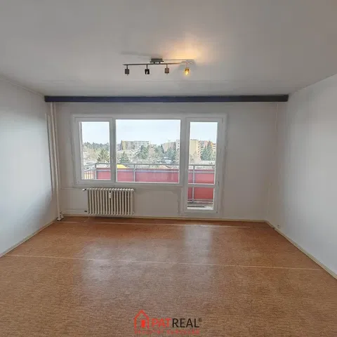 Salon; widok, światło dzienne