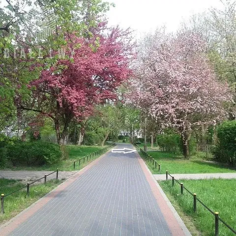 Maison et environs; vue