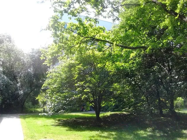 Autre; vue, lumière naturelle