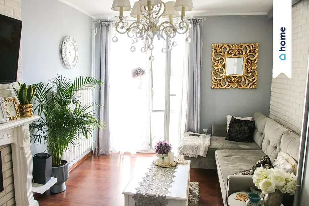 Salon; lumière naturelle, style moderne