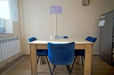 Kitchen; wood floor, modern style