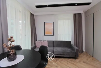 Living room; natural light, modern style, wood floor