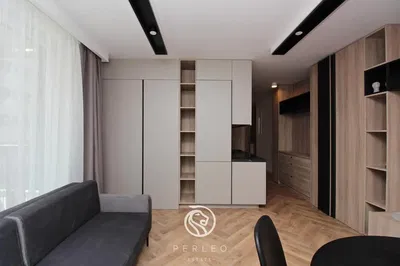 Living room; modern style, wood floor, natural light