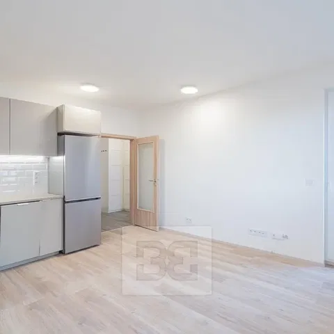 Kitchen; kitchen appliances, natural light, modern style