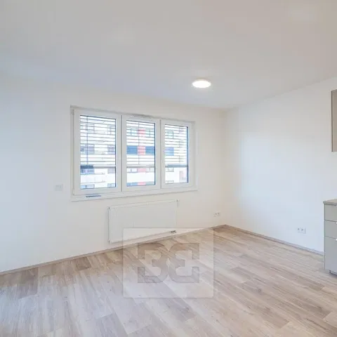Living room; natural light, wood floor, renovated