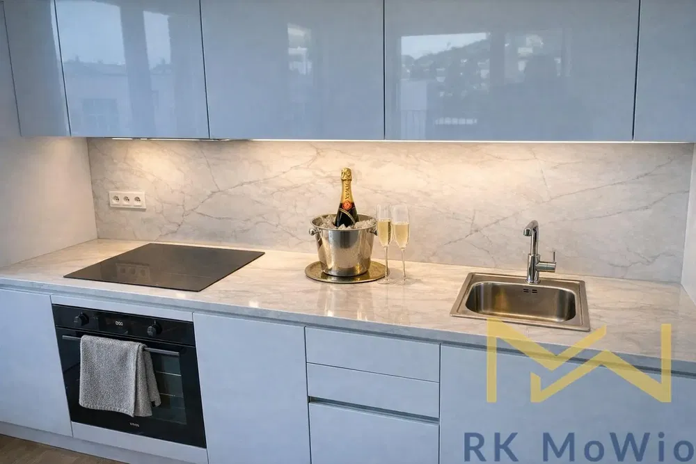 Kitchen; kitchen appliances, renovated, modern style