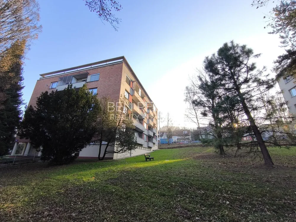 House and surroundings; view