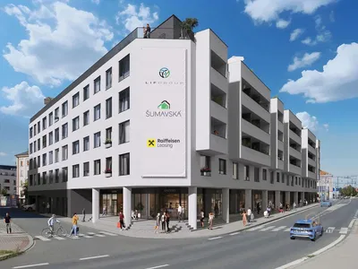 House and surroundings; commercial