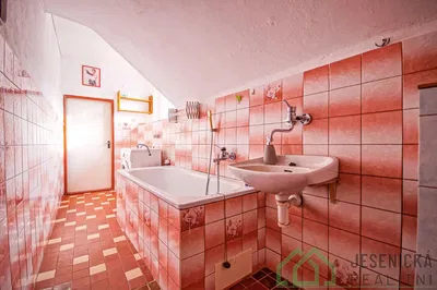 Bathroom; tile floor, needs renovation, natural light