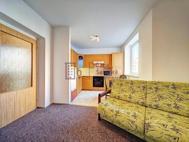 غرفة معيشة; ضوء طبيعي