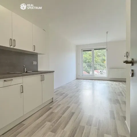 Kitchen; view, wood floor, natural light, modern style