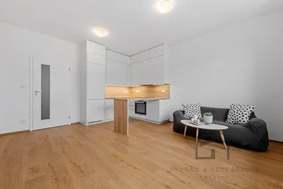 Oturma odası; modern stil, tadilatlı, ahşap zemin, doğal ışık
