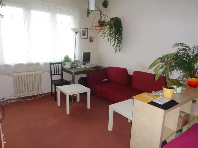 Woonkamer; natuurlijk licht