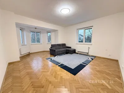Wohnzimmer; holzboden, tageslicht