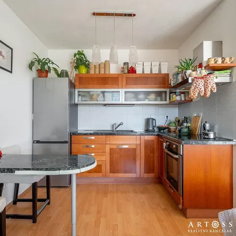 Kitchen; kitchen appliances, natural light, modern style