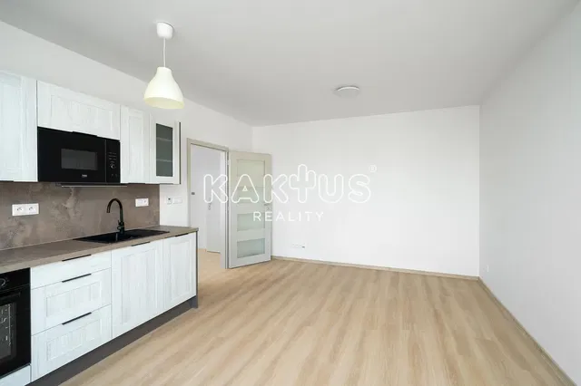 Kitchen; kitchen appliances, renovated, natural light, modern style