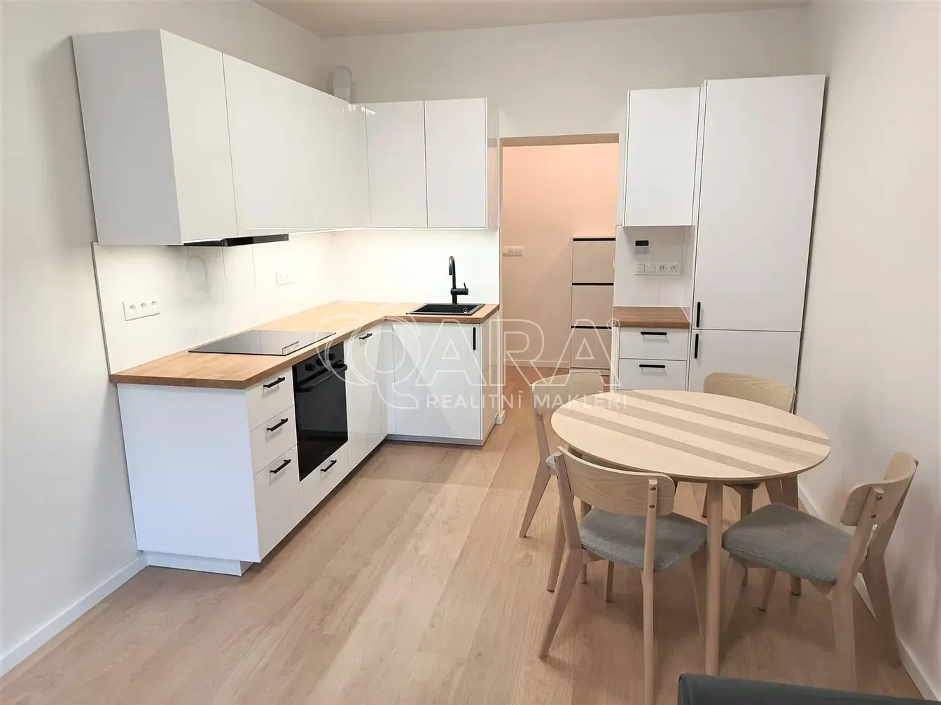 Keuken; keukenapparatuur, gerenoveerd, moderne stijl