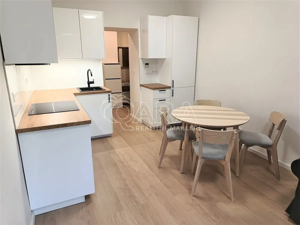 Keuken; keukenapparatuur, gerenoveerd, moderne stijl