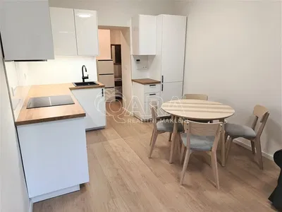 Keuken; keukenapparatuur, gerenoveerd, moderne stijl
