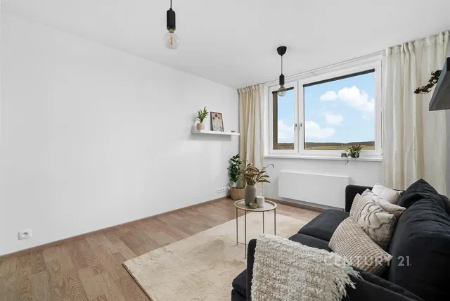 Obývací pokoj; výhled, dřevěná podlaha, přirozené světlo, moderní styl