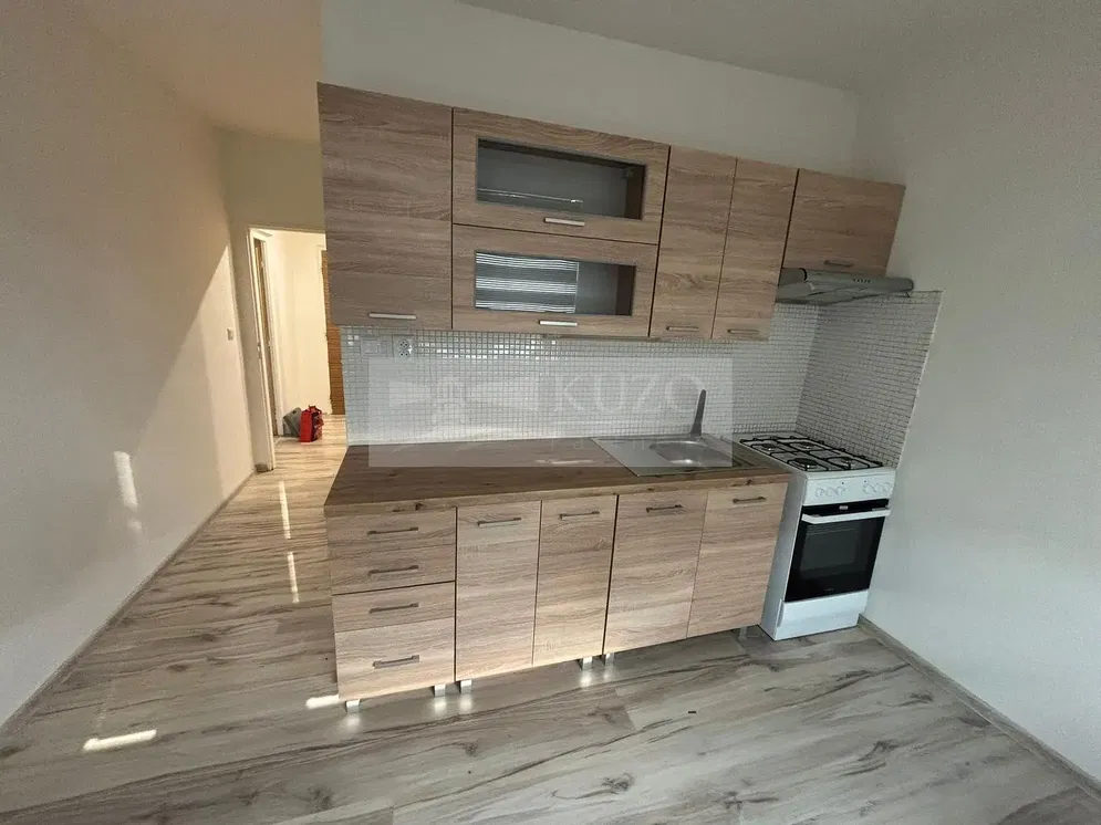 Kuhinja; kućanski aparati, pločice, renoviran, prirodna svjetlost