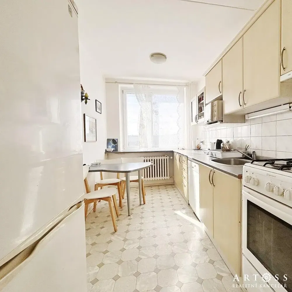 Kuchyně; kuchyňské spotřebiče, dlažba, přirozené světlo, moderní styl