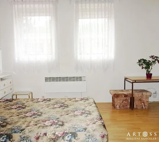 Bedroom; natural light, wood floor