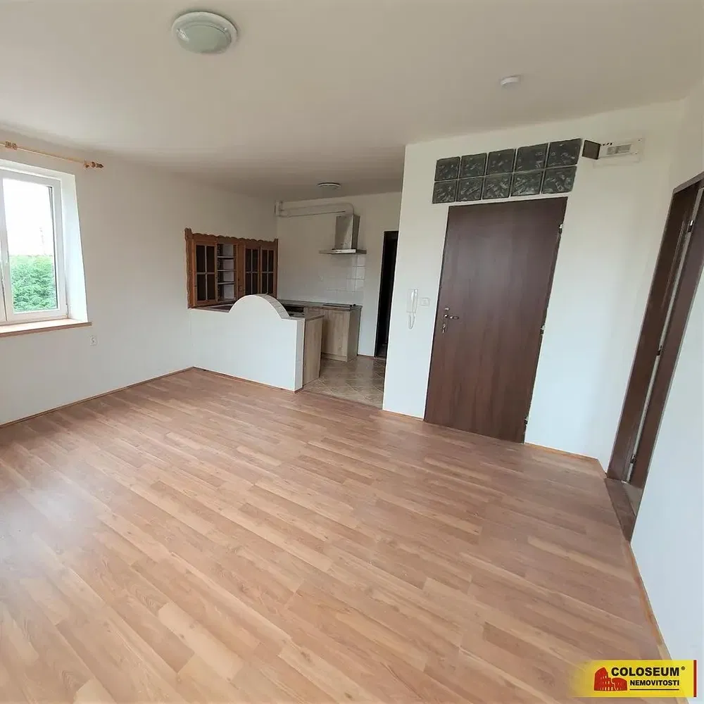 Living room; wood floor, view, natural light