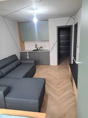 Living room; modern style