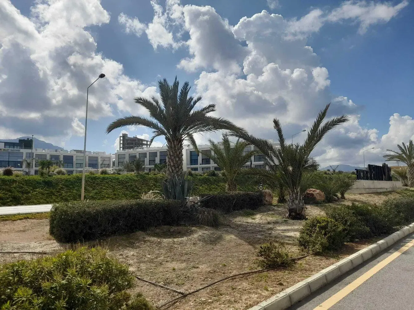 Ev ve çevresi; manzara, doğal ışık