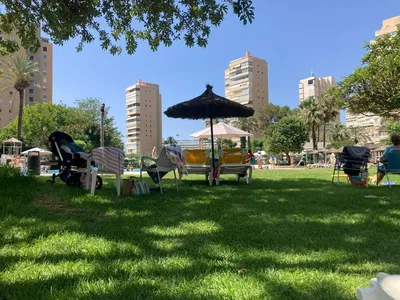 Diğer; manzara, doğal ışık