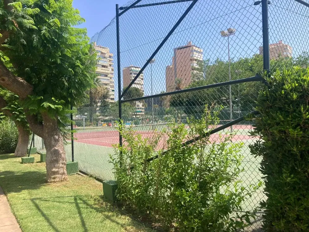 Ev ve çevresi; manzara, doğal ışık