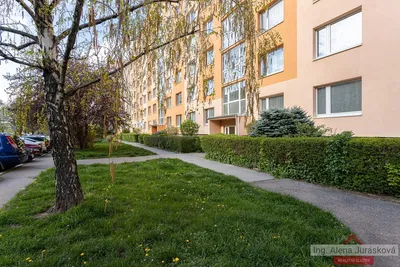 Haus und umgebung; blick