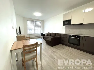 Living room; view, natural light, modern style
