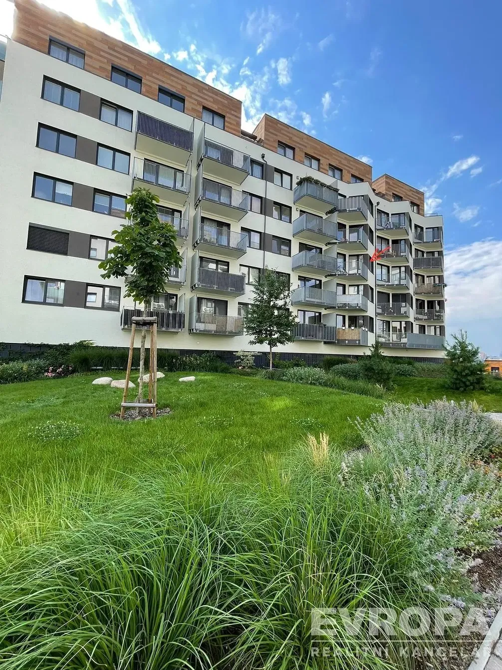 House and surroundings; view
