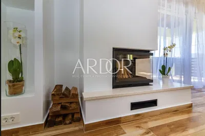 Living room; fireplace, modern style, natural light